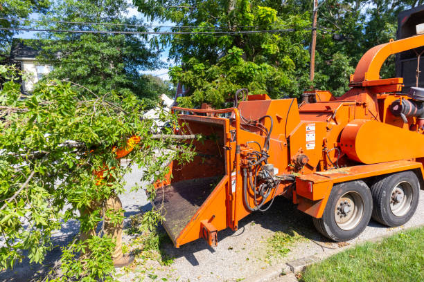 Best Emergency Tree Service  in Stroville, CA